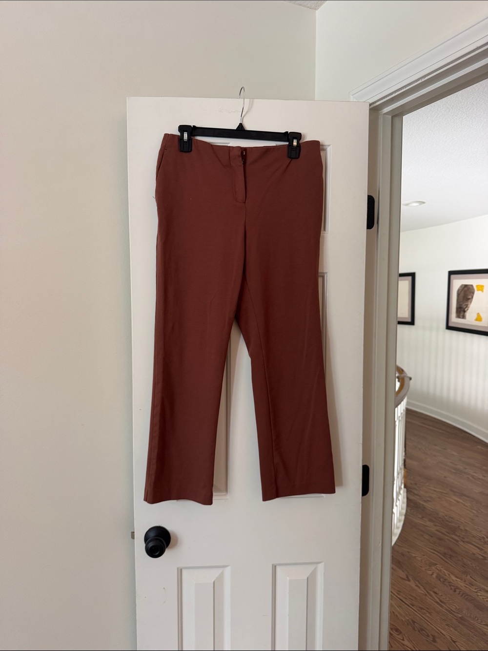 Women's Straight-Leg Pants in Rust